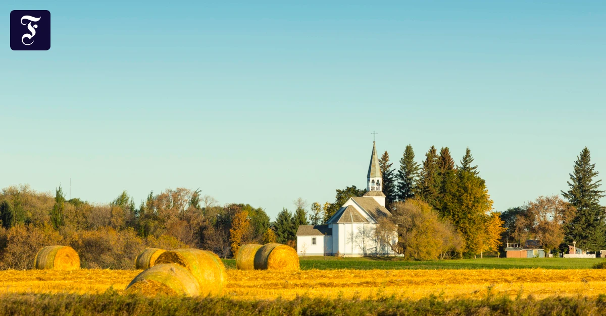 Kanadische Literaturentdeckung: Ein Zimmer für sich allein genügt nicht zum Schreiben