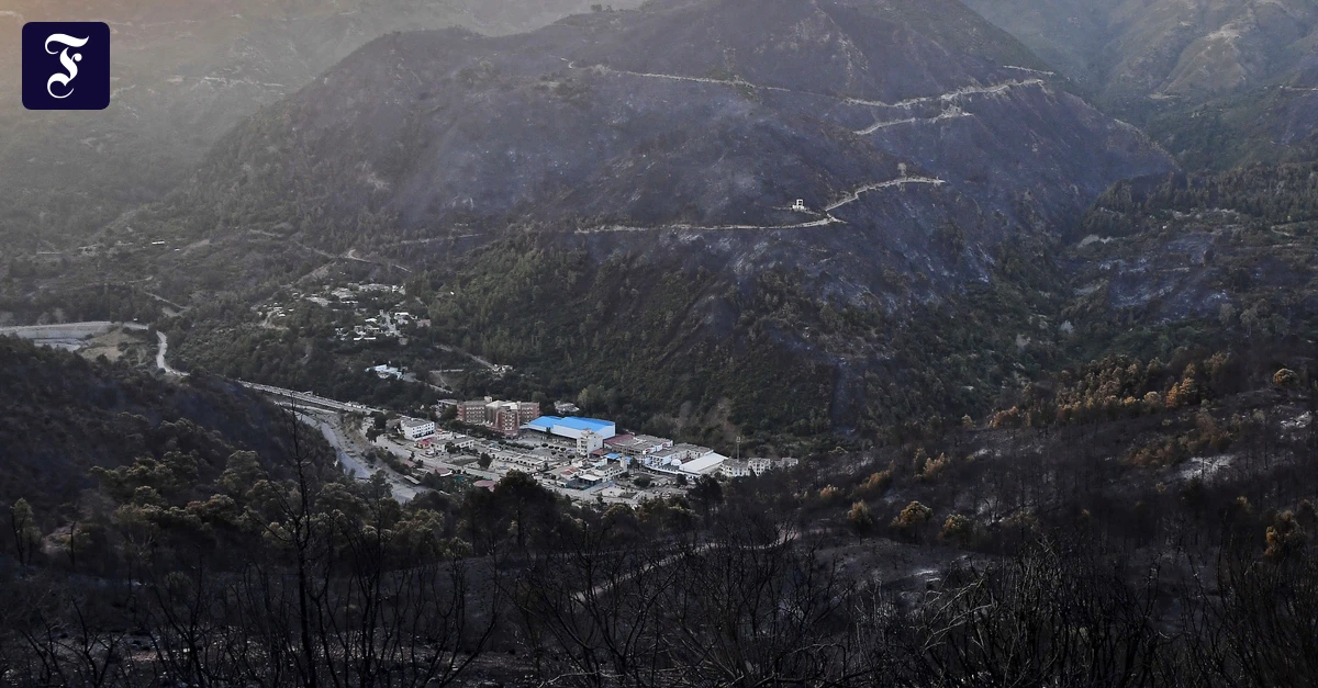 Algerien, Hammam Melouane: Nach einem Waldbrand umgeben verkohlte Berge ein Dorf im Tal. (Ảnh: FAZ.NET)
