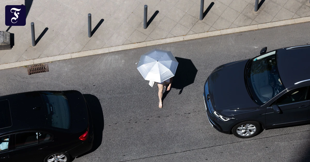 Extreme Temperaturen: Wie Hitze zu einem Wirtschaftsfaktor wird