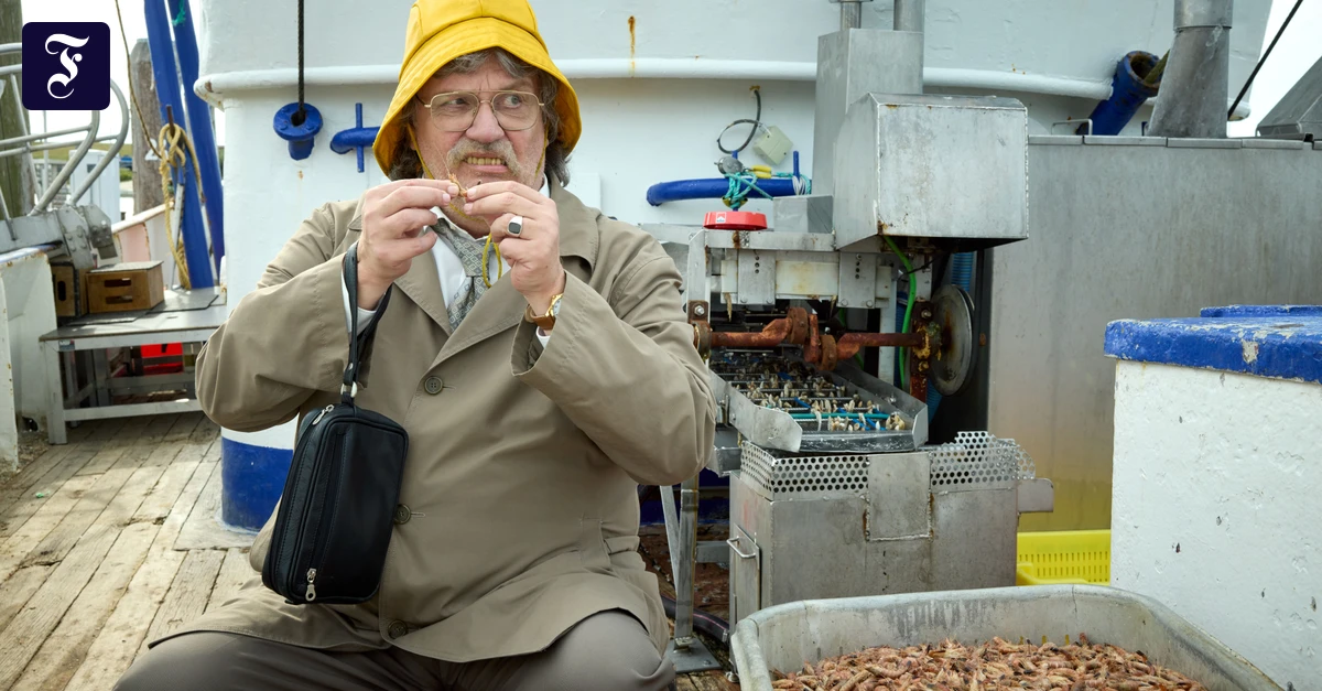 Horst Schlämmer im Kino: Hofft dieser Film auf die Boomer als Zielgruppe?