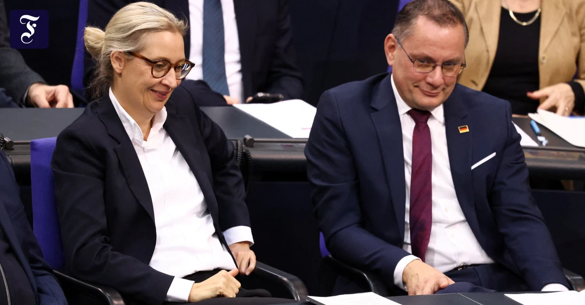 Debatte-um-Brandmauer-Soll-die-Wirtschaft-mit-der-AfD-reden-oder-nicht-