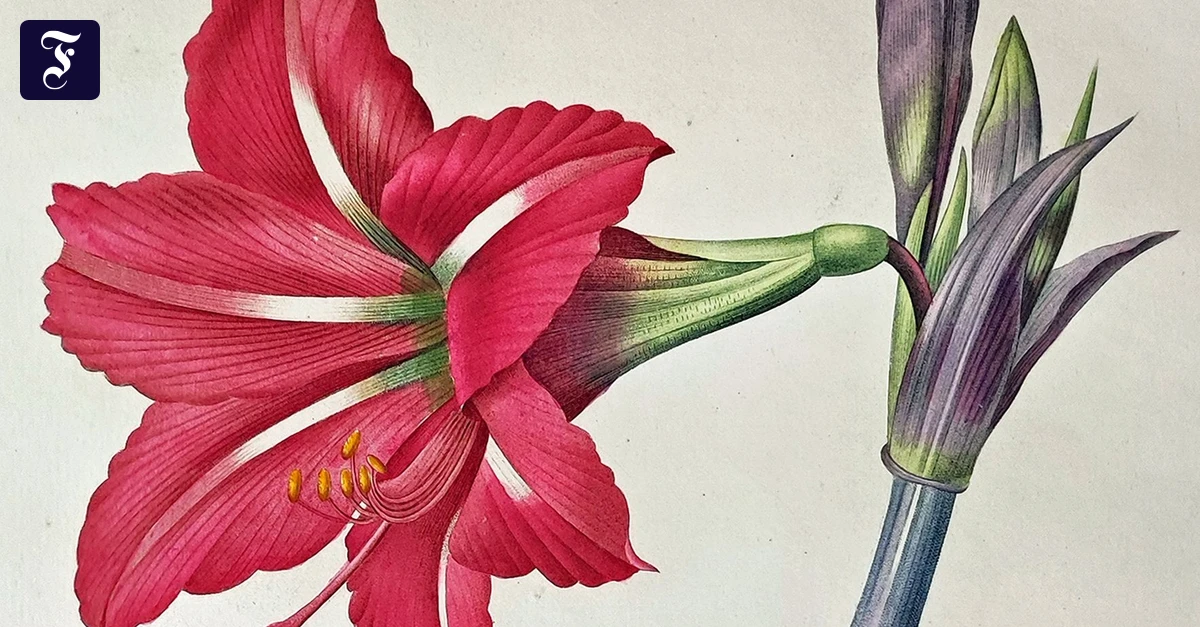 Antiquariatsmessen: Hat der Handel mit alten Büchern noch eine Zukunft?