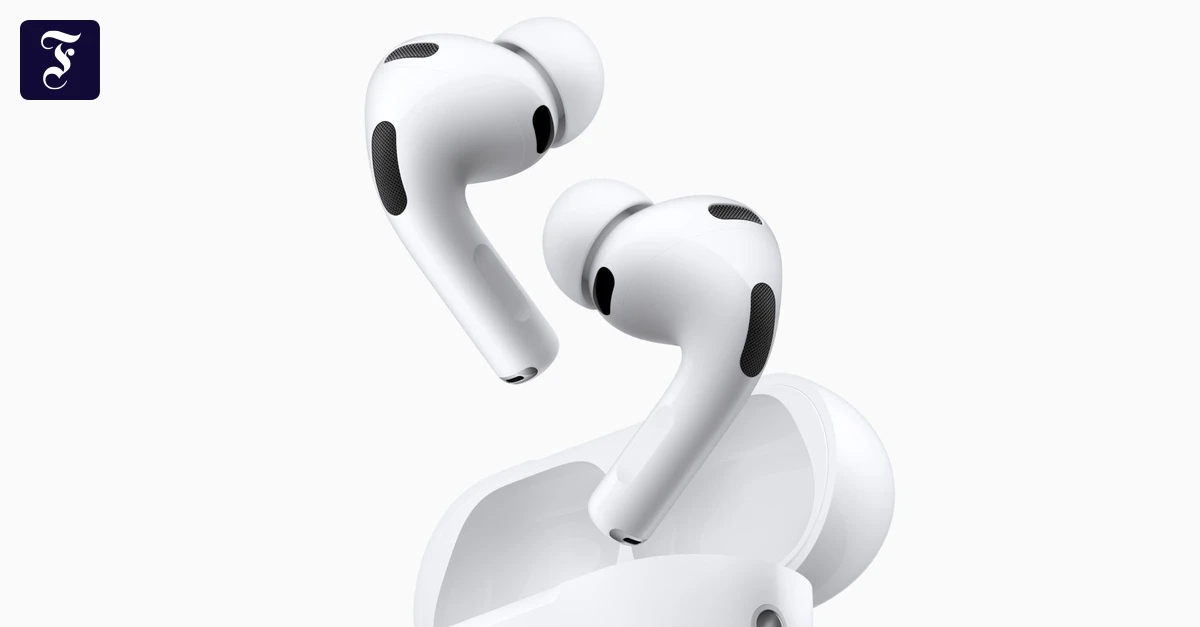 Fundbüro Flughafen: Verliermeinnicht