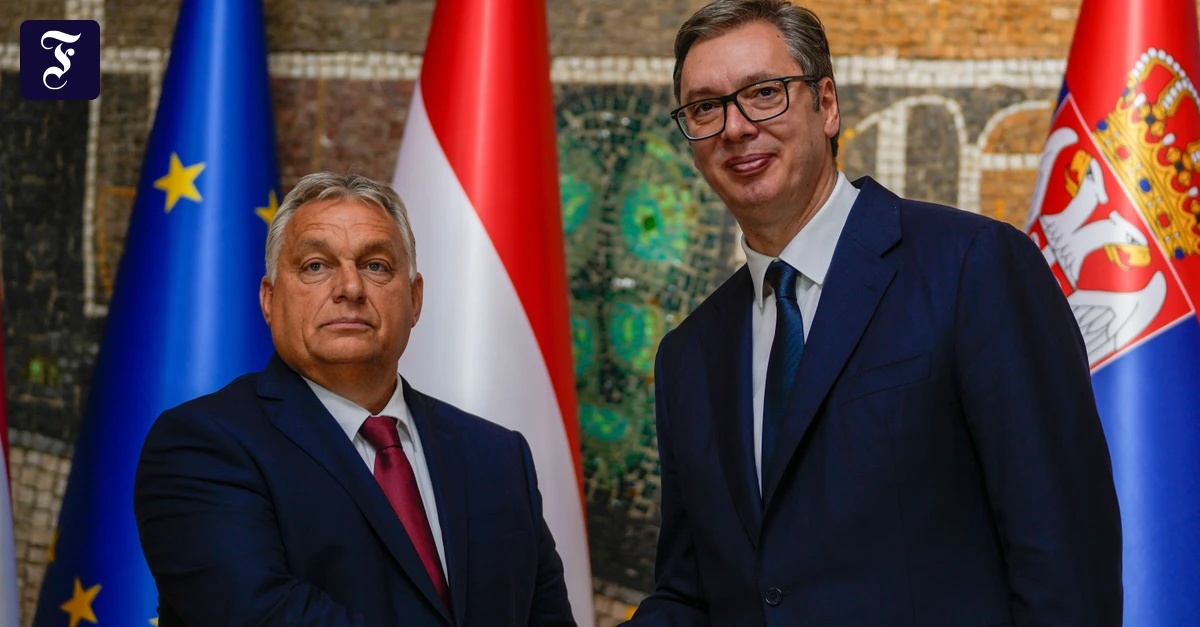Kurz vor der Wahl: Orbán verdächtigt Ukraine nach Sprengstofffund an Pipeline