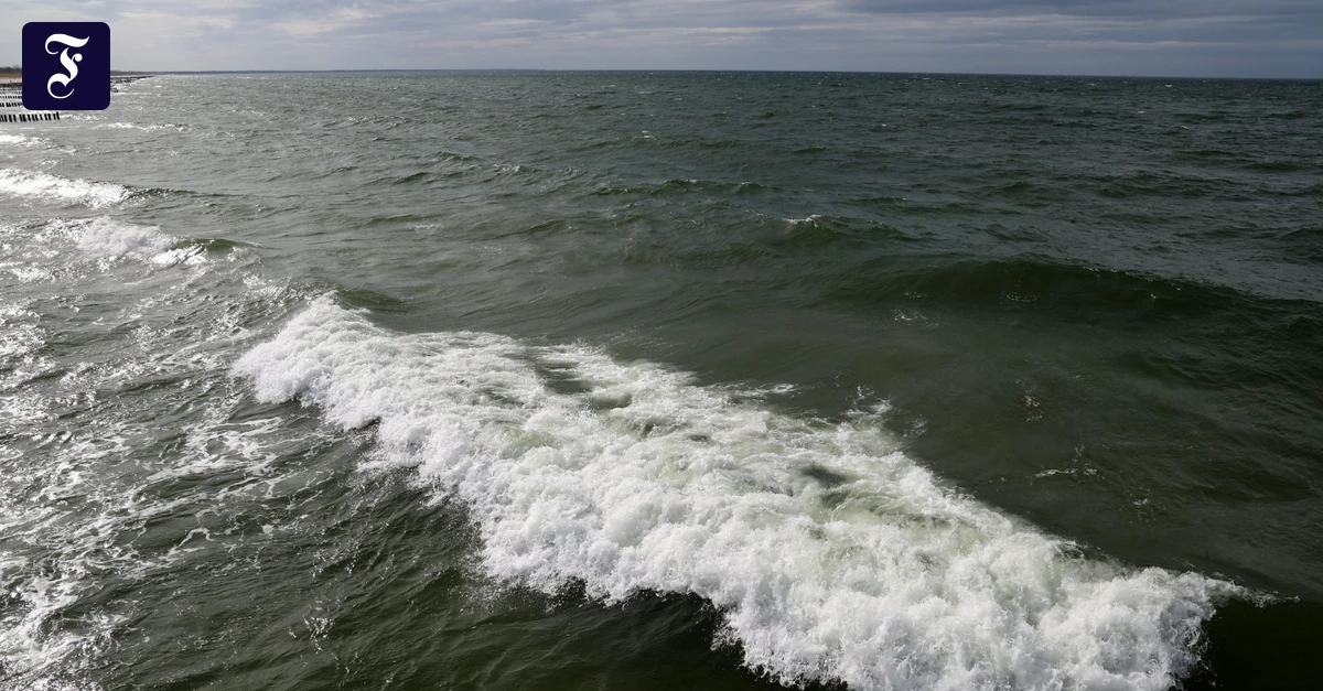 Steigende Wassertemperatur: Meere so warm wie noch nie um diese Jahreszeit