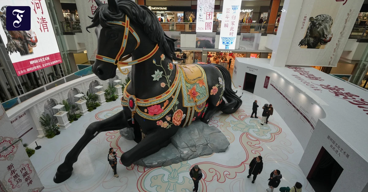 Was-ein-BWL-Professor-r-t-Wer-ein-Ziel-erreichen-will-muss-immer-Risiken-eingehen-