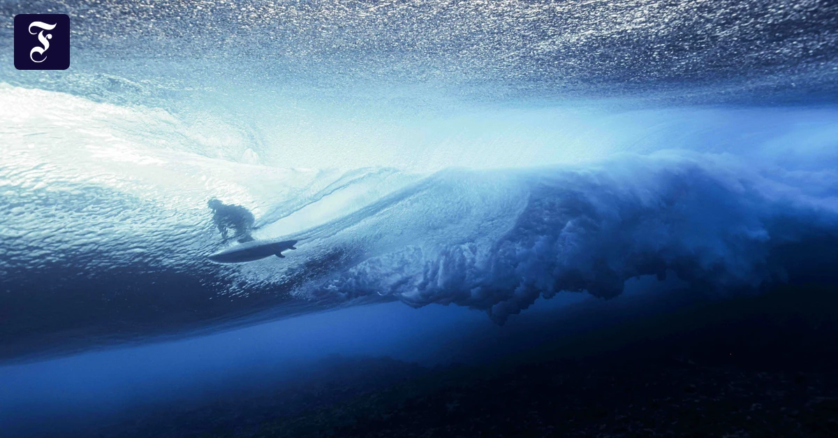 Surf-Krimi „Heaven’s Gate“: Im Paradies der Kartelle