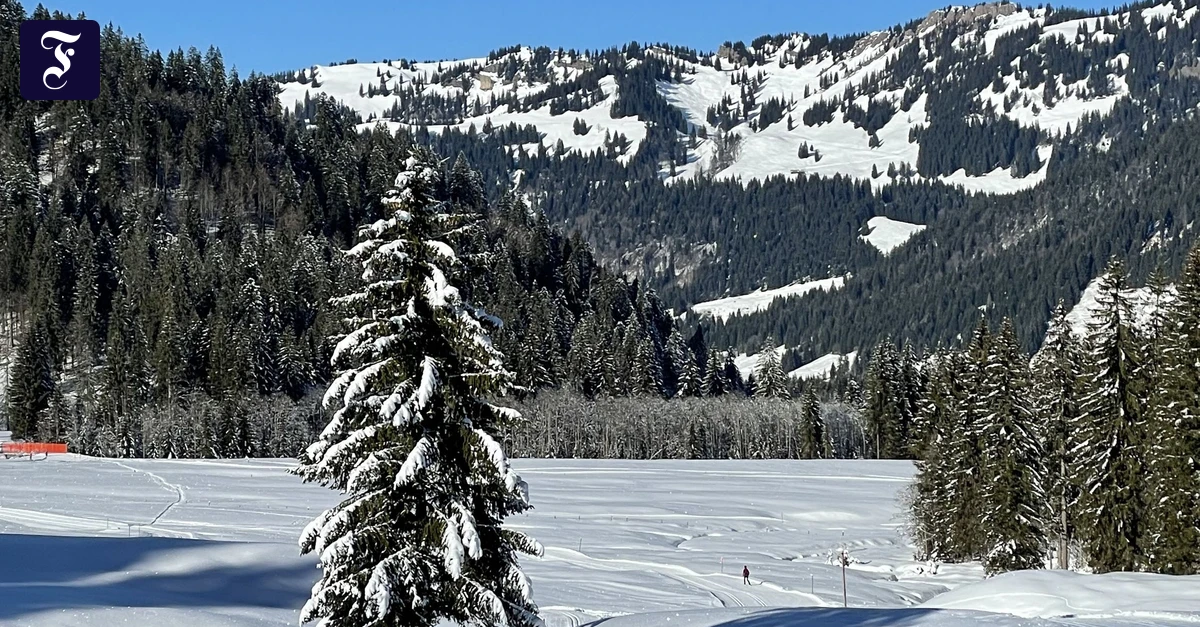 Auf-zum-Langlauf-In-der-Abwechslung-liegt-die-Anziehungskraft