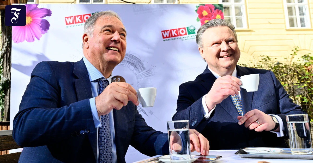 Walter Ruck resigns: Scandal surrounding Viennese men's clubs