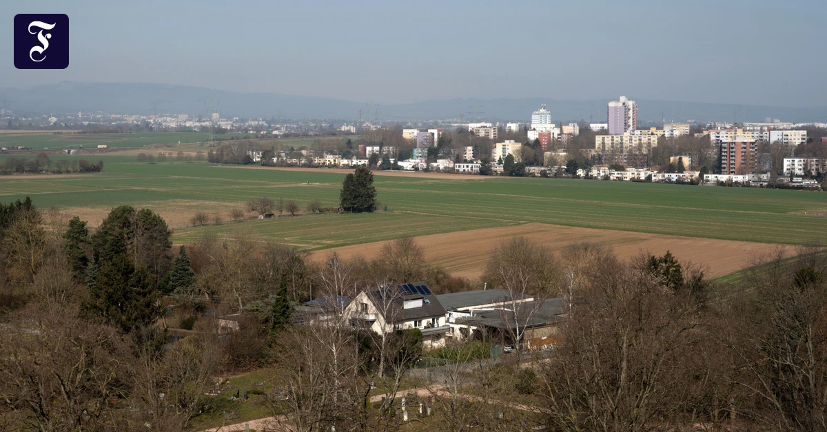 Frankfurter-Stadtentwicklung-Parteien-ringen-um-neuen-Stadtteil-f-r-17-000-Bewohner