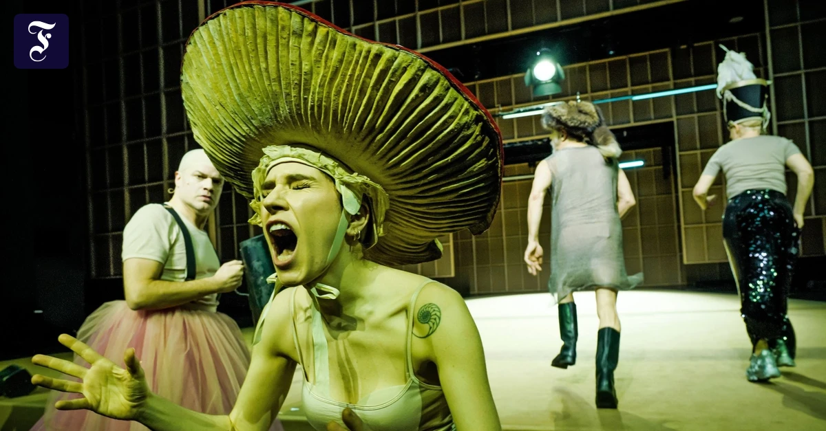 -Publikumsbeschimpfung-So-war-das-bestimmt-nicht-gemeint