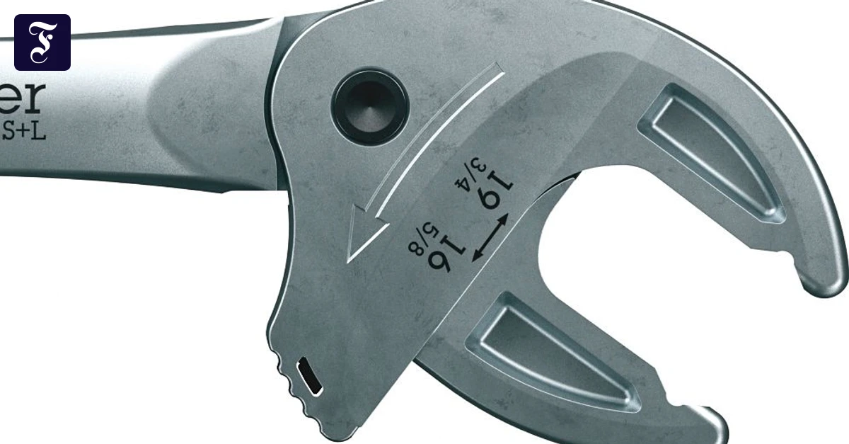 fünf am Freitag: Zum Glück lacht die Sonne