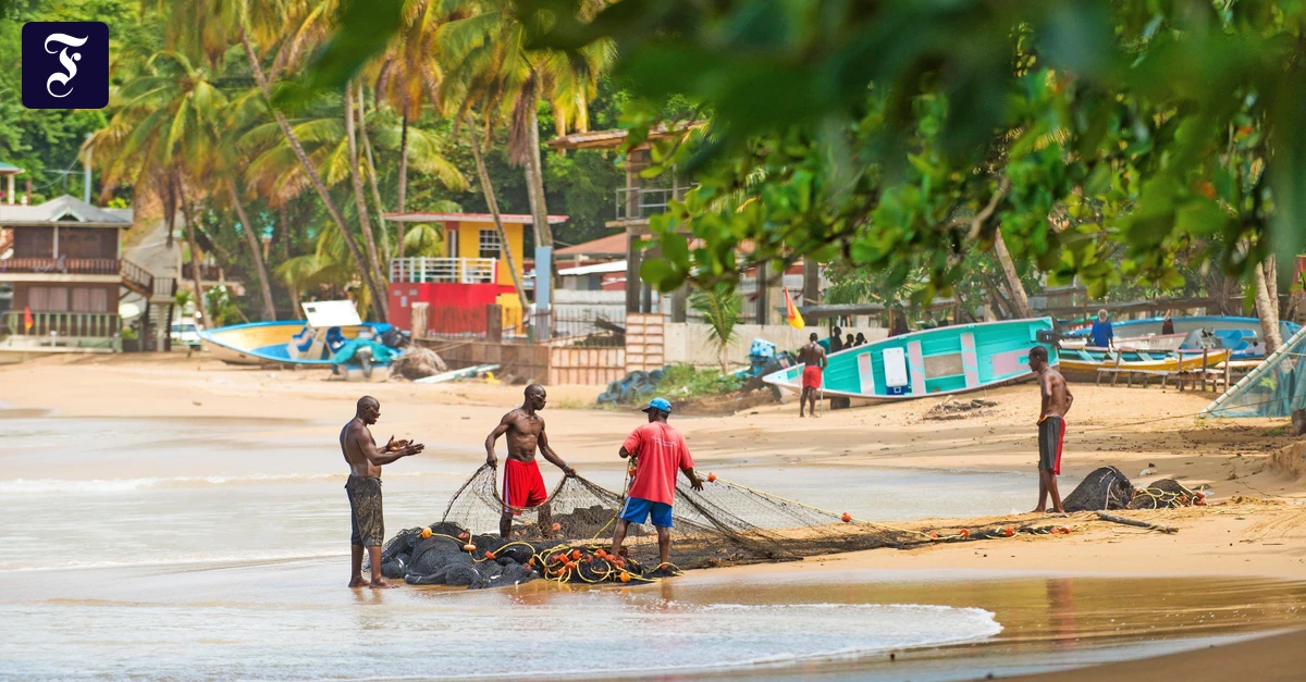 Urspr-ngliches-Tobago-Eine-Karibikinsel-wie-es-sie-eigentlich-nicht-mehr-gibt