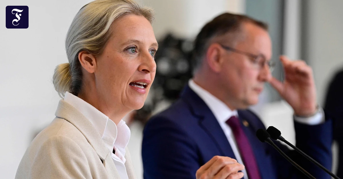 Alice Weidel kritisiert Jordan Bardella für Distanzierung von AfD