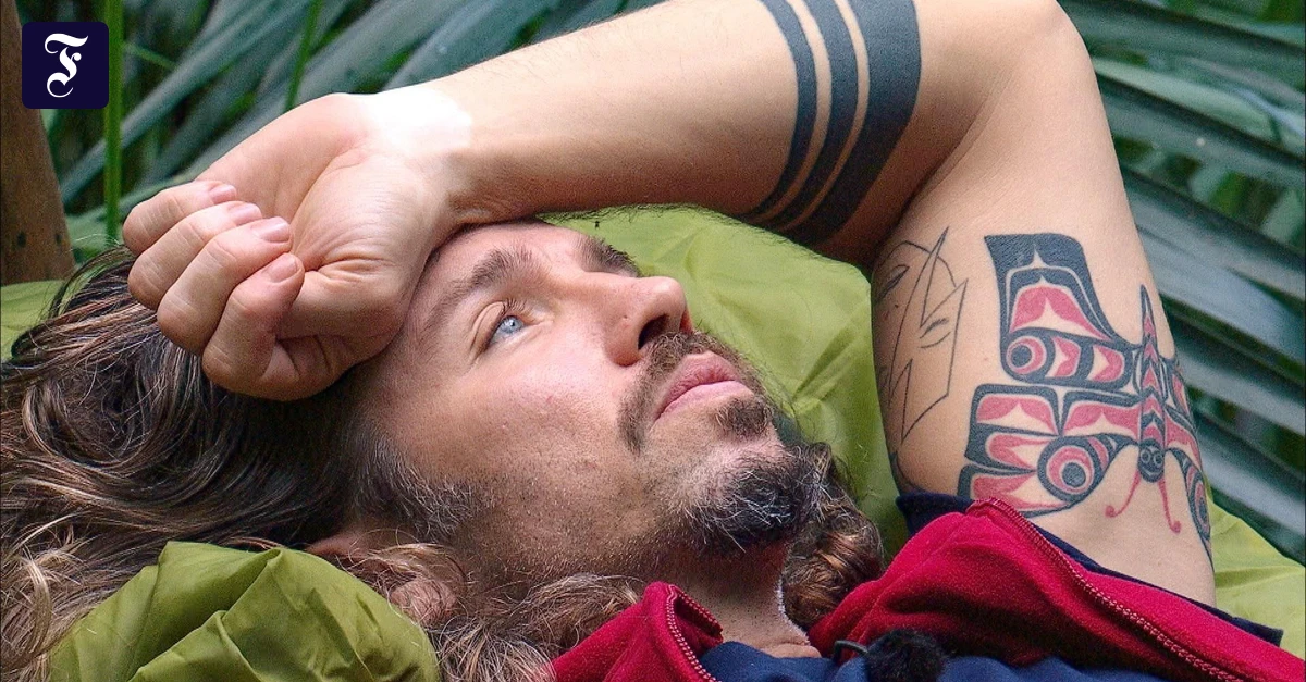 Dschungelcamp-Kolumne-Das-G-in-Gil-steht-f-r-gelogen-