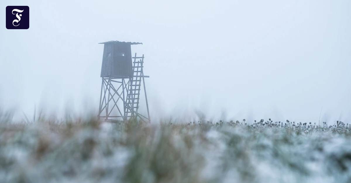 Niedersachsen-J-ger-schie-t-auf-Spazierg-ngerin-Frau-schwer-verletzt