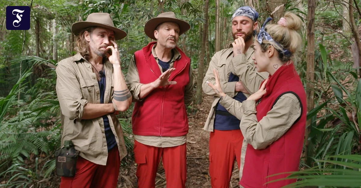 Dschungelcamp-Kolumne-Ich-habe-selber-Babys-ich-esse-keine-kleinen-K-ngurus-