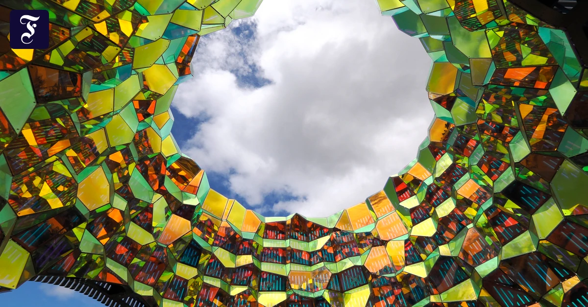 Scherbaums-B-rse-Die-Alphabet-Aktie-im-KI-Rausch