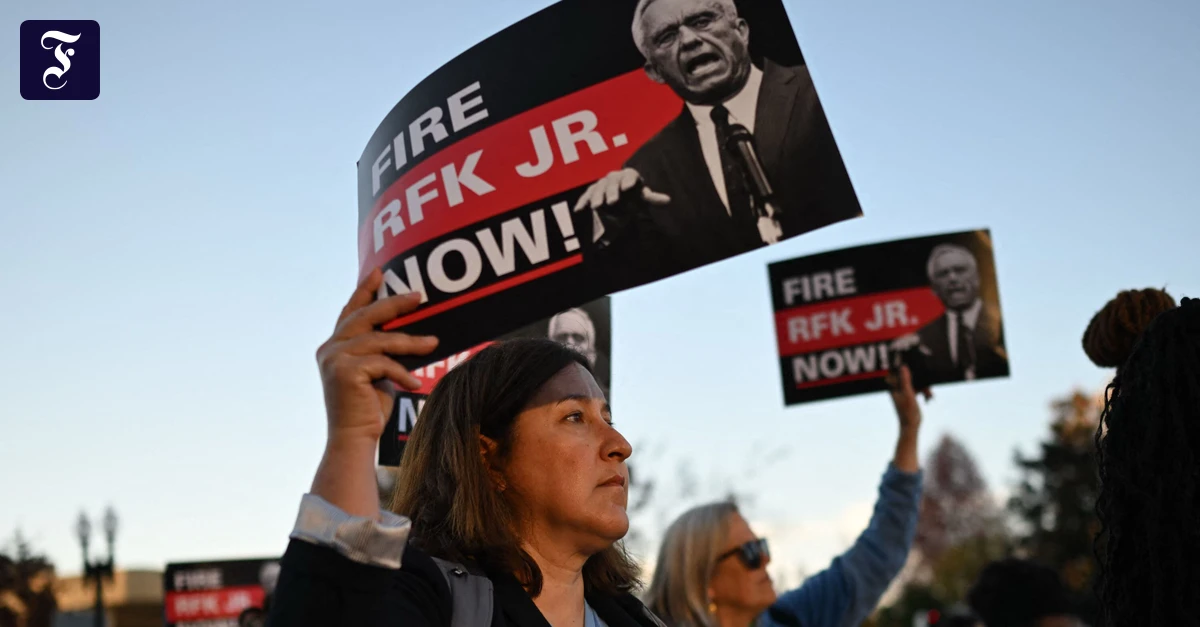Wissenschaftsfreiheit-Einige-Universit-ten-bereiten-sich-auf-AfD-Regierung-vor