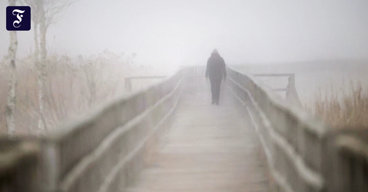 Schlimmster-Monat-berhaupt-Wieso-gibt-es-keine-Initiative-f-r-einen-Nojanuary-