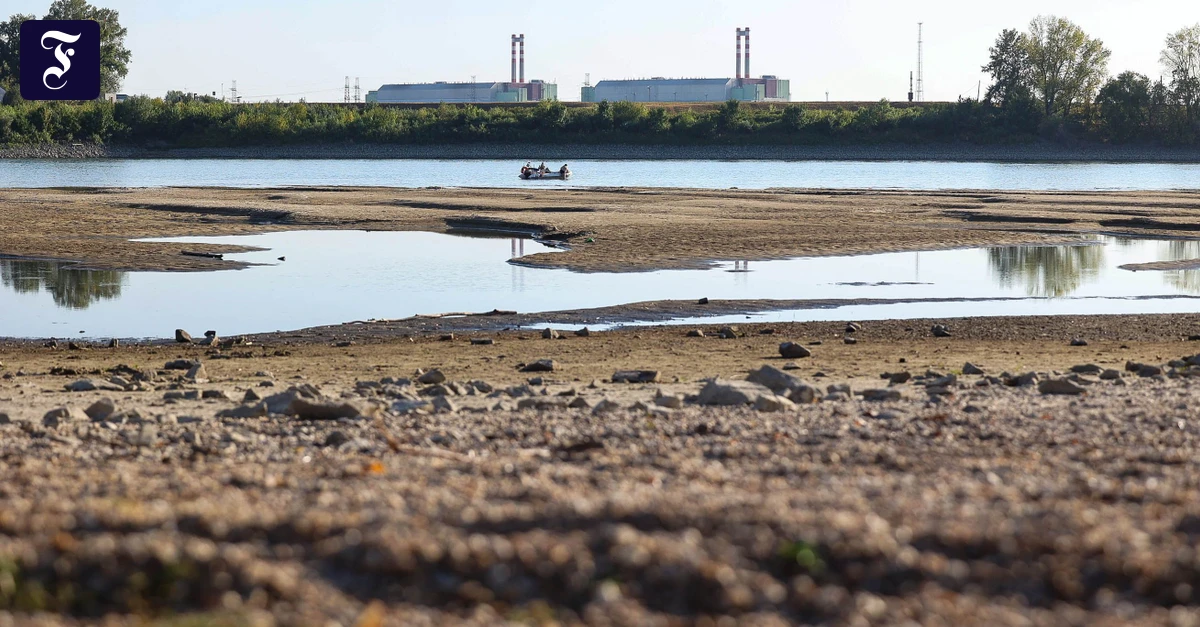 Hitze-Liveblog: Ungarn will Donau-Wasserstand zur Kühlung von Atomkraftwerk künstlich anheben