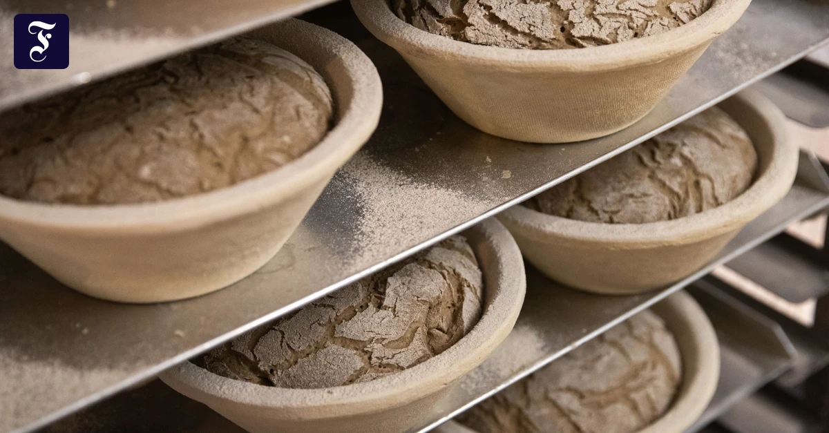 Brot und anderes: Wir sind sauer
