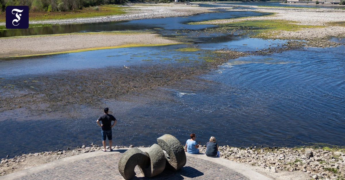 Water level lower than ever: How is the Rhine doing?
