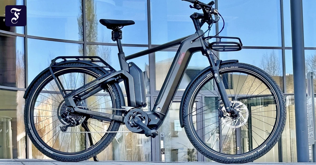 fahrradgriffe aufschieben 1 Paar Fahrrad Lenker Griffe 22mm mit Aluminium Lock (Grau) Rostschutz-Pflege am Nabendynamo | assembly-0 Größe:2.36 x 2.36 [m]