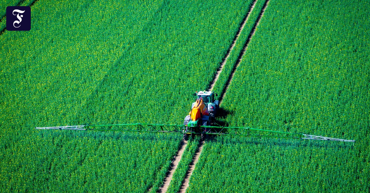 Sprachpolitik-Gift-bleibt-Gift