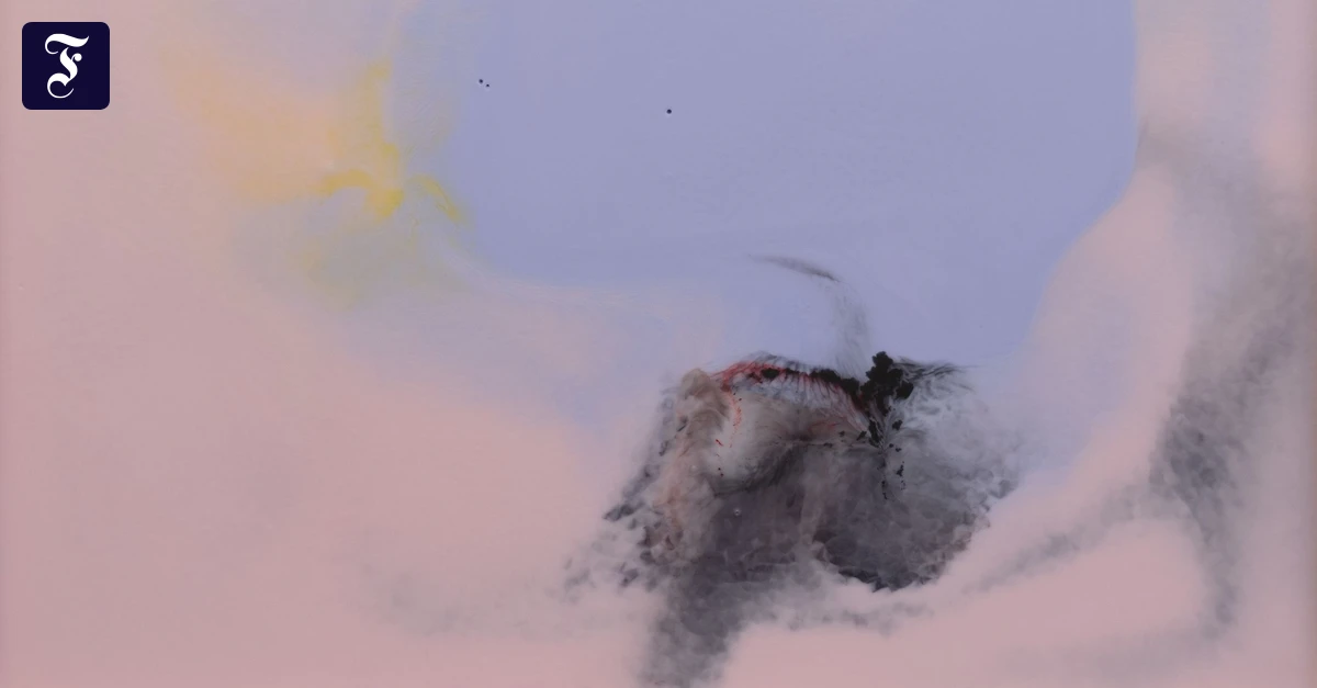 Nairy-Baghramian-Ausstellung: Kunstwerke wie Inseln im Exil