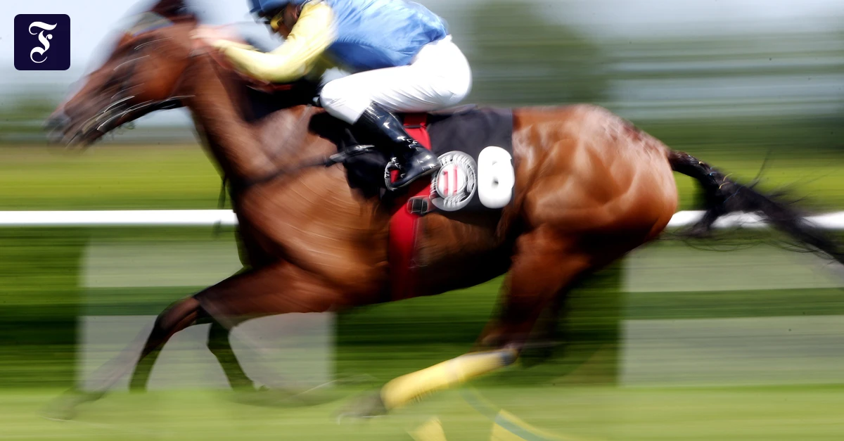 MIkrochip in Suppe: Preisgekröntes Rennpferd endet in türkischer Suppenküche