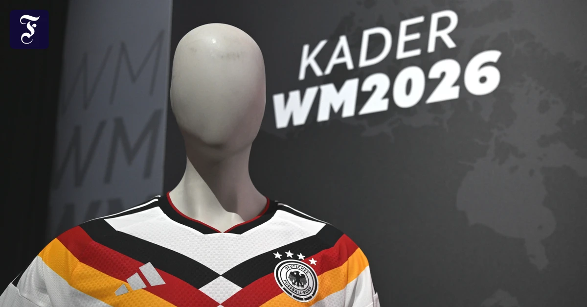 Geschäft mit der Fußball-WM: Balanceakt für Adidas