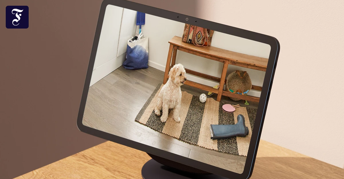 Lautsprecher-von-Amazon-Alexas-frische-Freunde