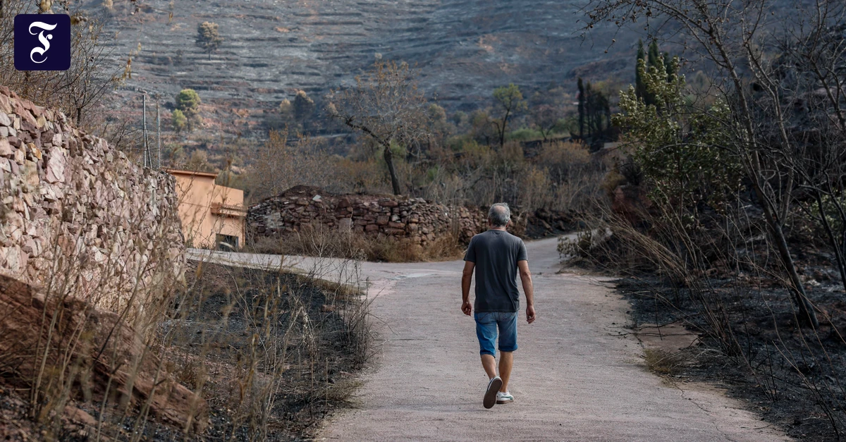 Forest fire and heavy rain - | what is the situation in Spain?