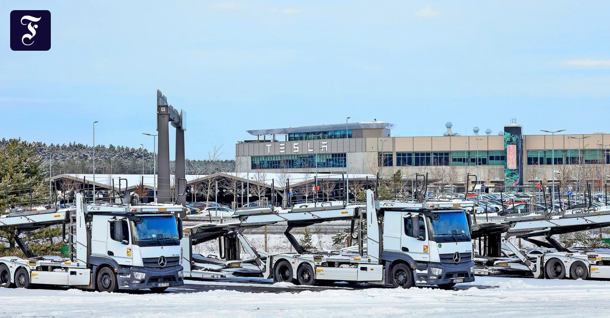 Elektromobilit-t-Tesla-macht-auch-in-Gr-nheide-weniger-Umsatz