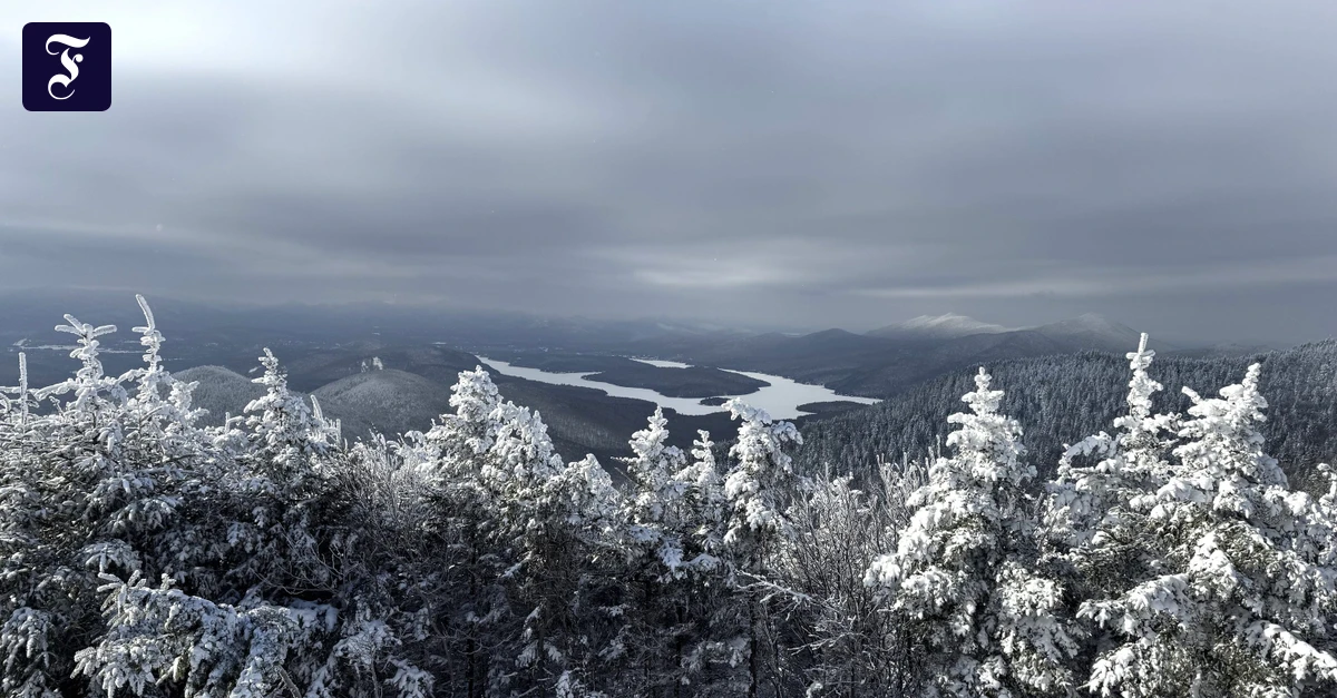 Wunder in Eis und Schnee: Echte Helden, wahre Wunder, kleine Klappe