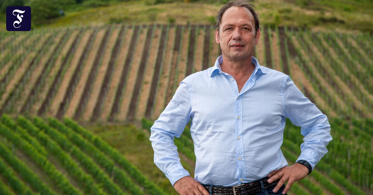 Winzer Markus Molitor: „Die Märkte fragen nach Großen Gewächsen“