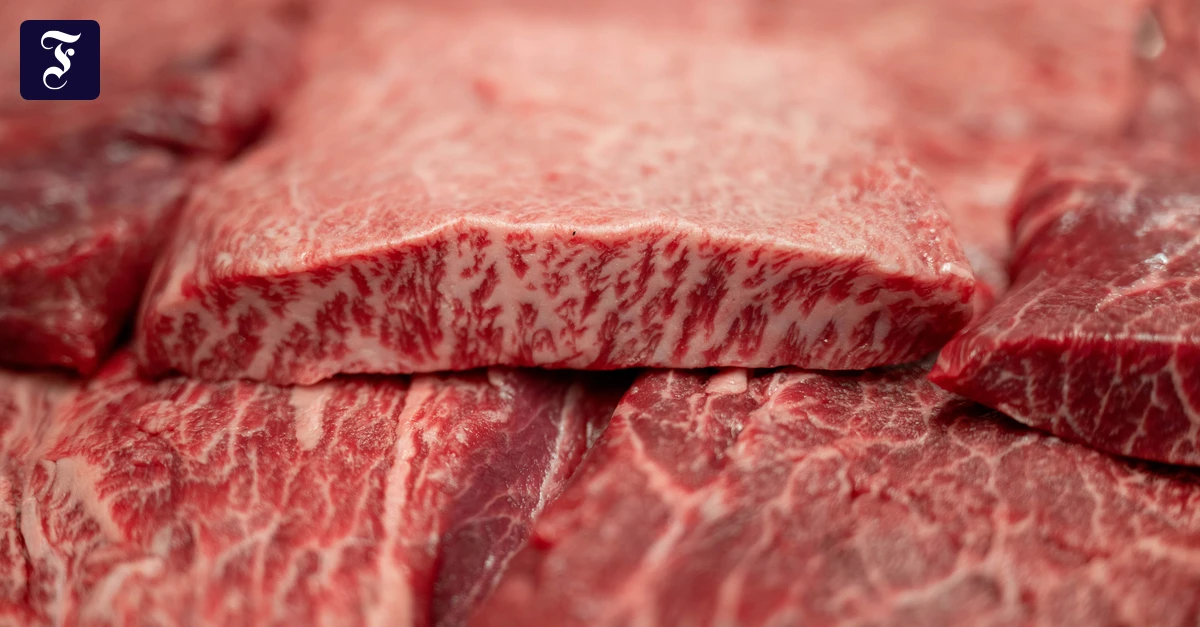 Neues Buch zu Wagyu: Die volle Fleischeslust