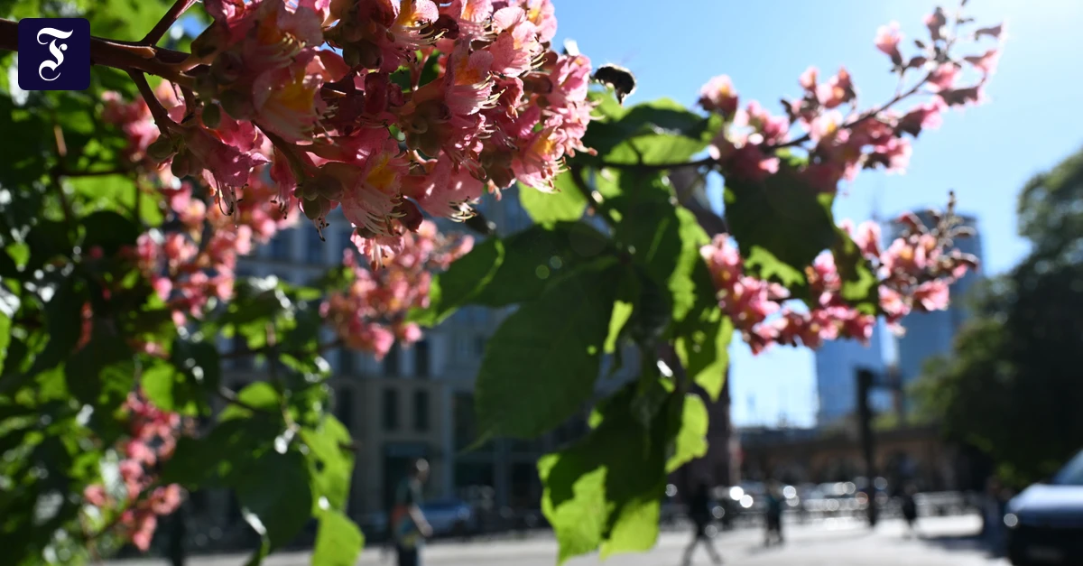 Wetter in Deutschland: Bis zu 29 Grad und erste Gewitter