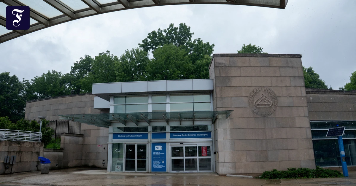 amerikanische Forscher: Der Braindrain lässt auf sich warten