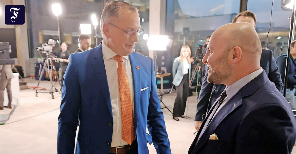 AfD in Baden-Württemberg: Success that could have been greater