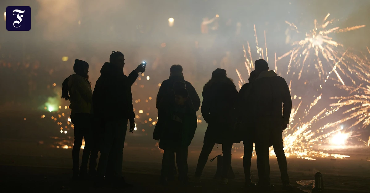 Silvesterfeuerwerk: Böller stoppen Brut der Reiherenten