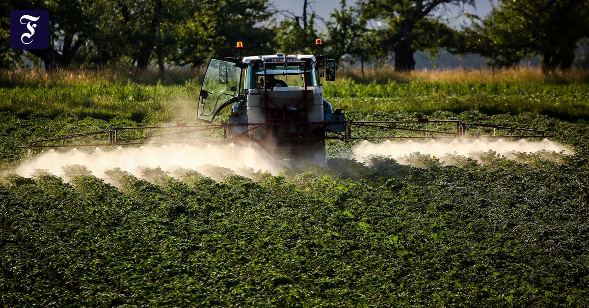 Pesticides: Less protection for the environment and health instead of reducing bureaucracy