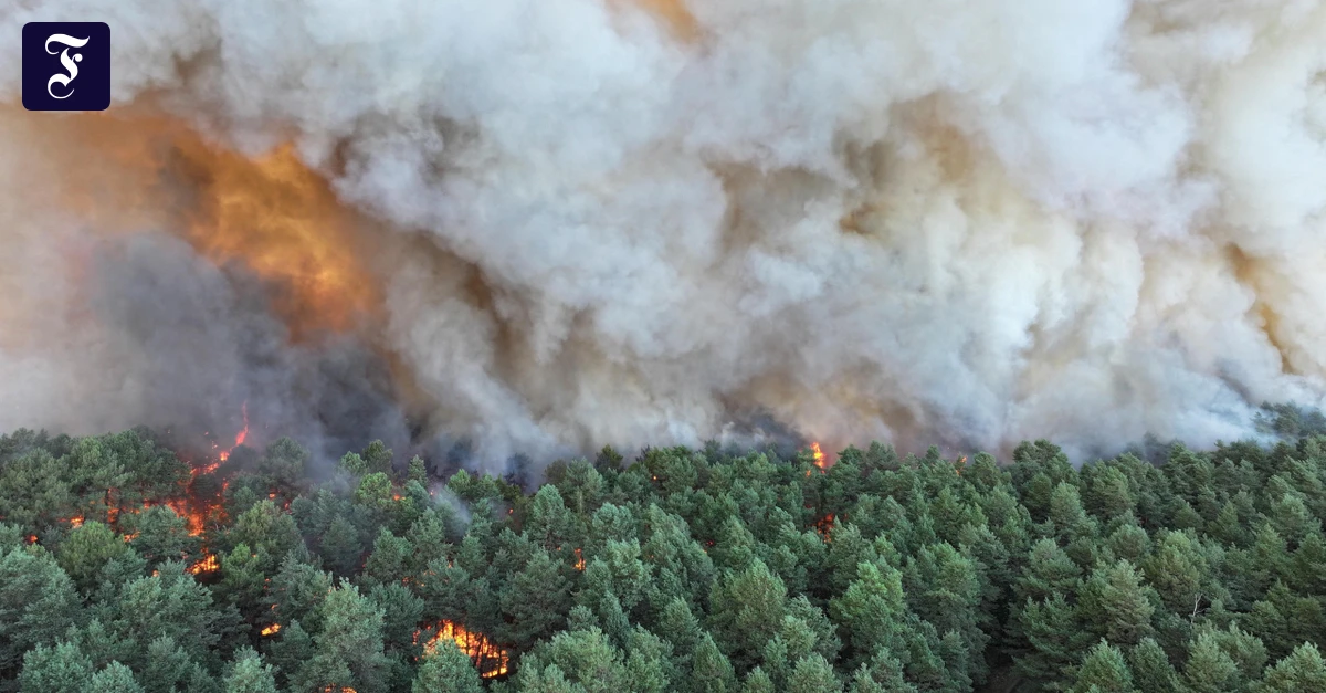 Hitzewelle-in-Frankreich-Waldbrand-nahe-Paris-ausgebrochen