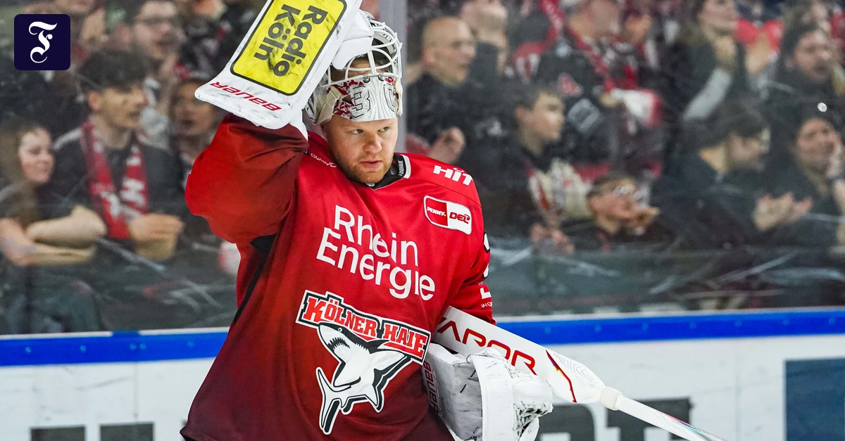 Köln in DEL-Play-offs: Die Begeisterung bei den Haien ist groß wie lange nicht