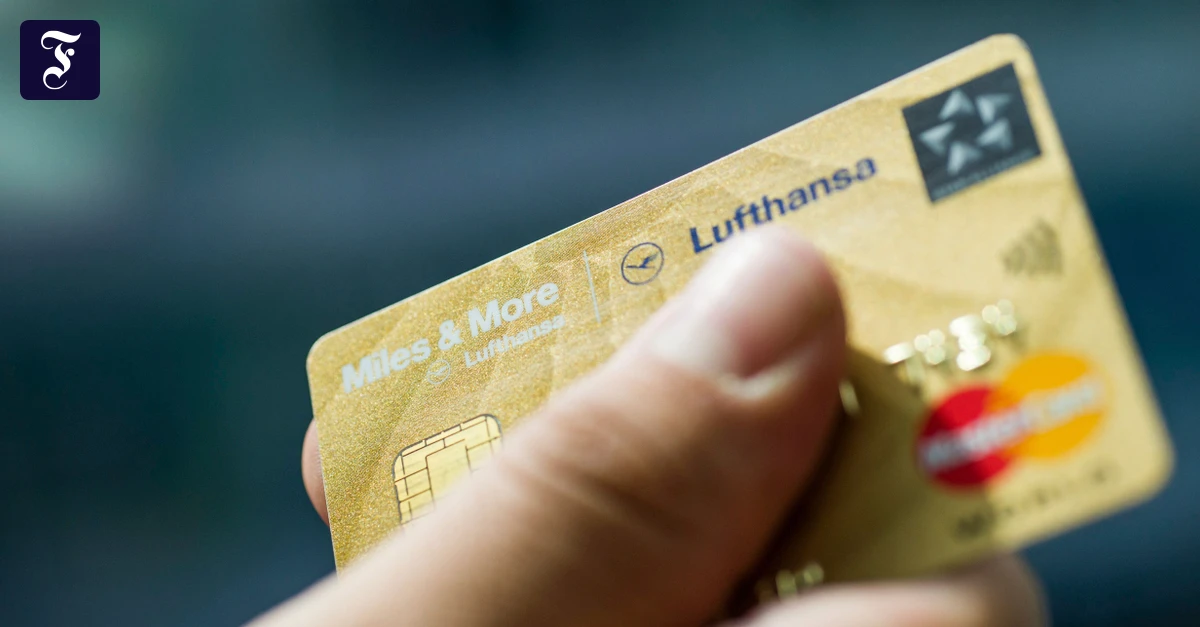 Dschungel-IT-Das-System