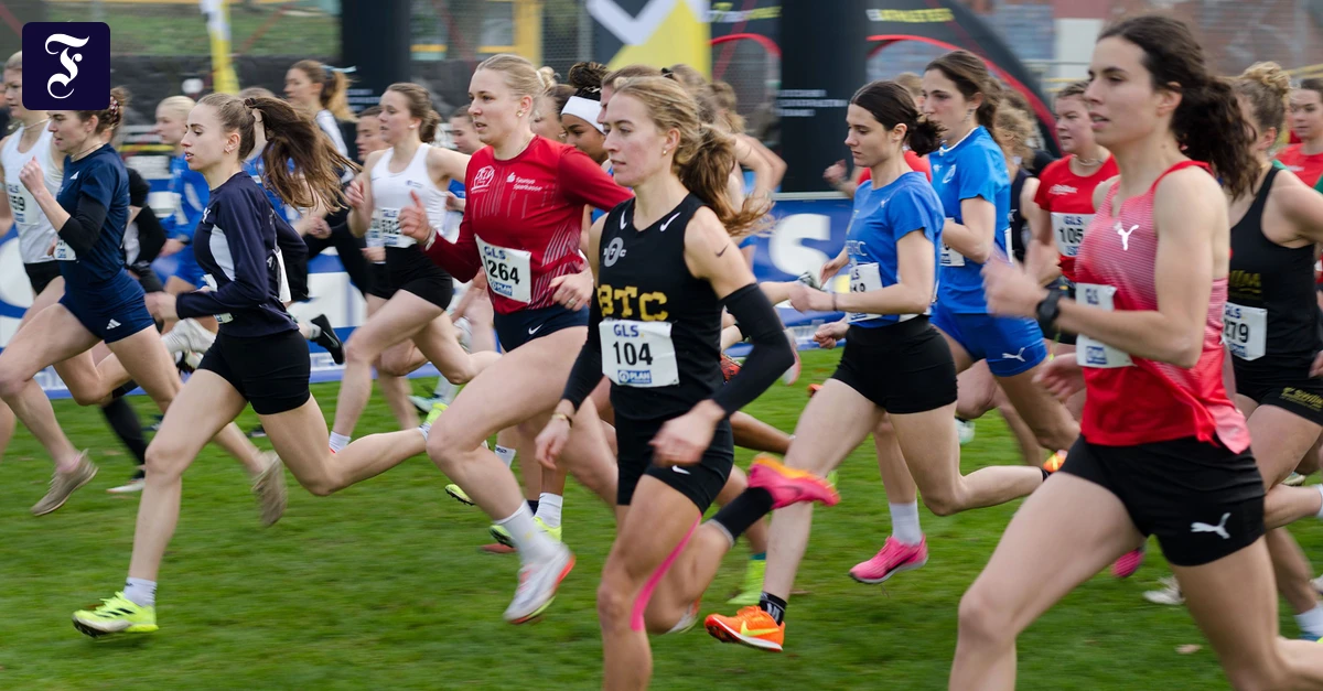 Meisterschaften-im-Match-Crossl-ufer-rennen-dem-Hype-hinterher