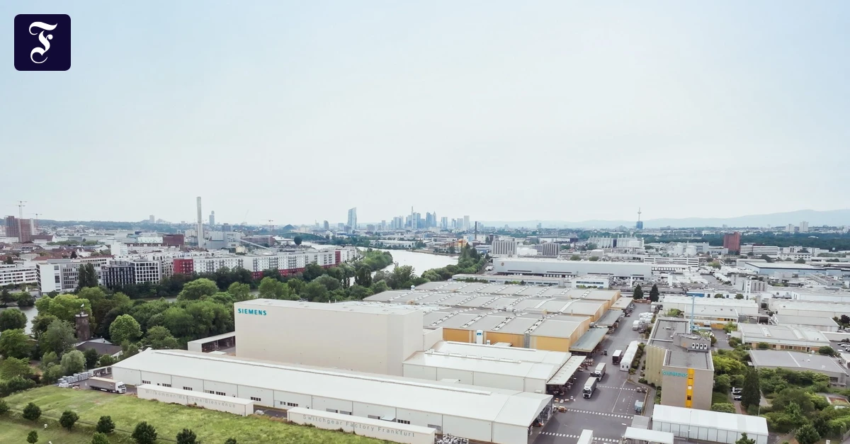 Rhein-Main-Feierabendbriefing: 700 neue Stellen für Frankfurt und Offenbach