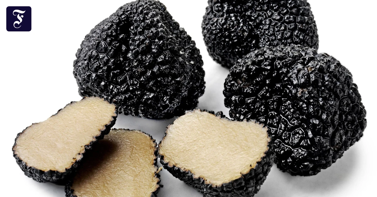 Tr-ffelsaison-Zeit-f-r-ein-bisschen-Luxus-in-Knollenform