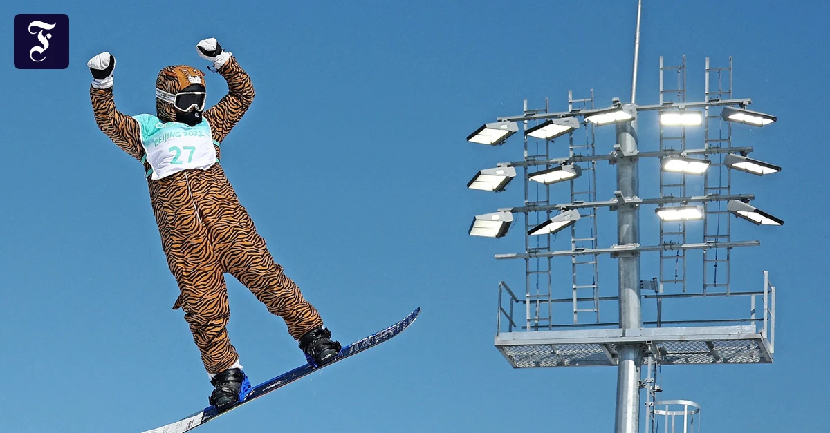 Snowboarderin Im Tigerkost m Die N rrin Ist Los FAZ snowboarderin-im-tigerkost-m-die-n-rrin-ist-los-faz
